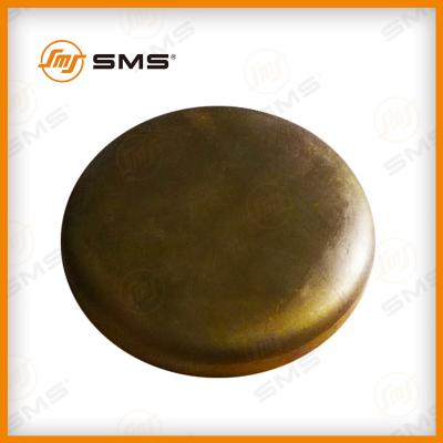 190003989210 ኮር ሆል ፕላግ 