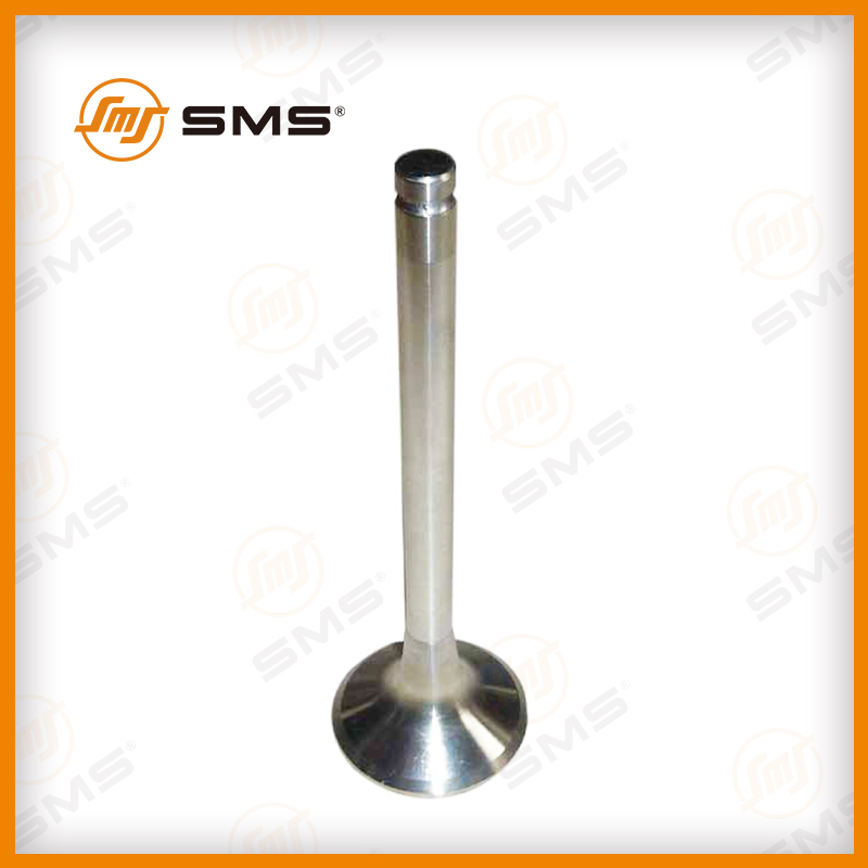 612600050073 intake valve WP10.jpg 612600050073 intake valve WP10.jpg