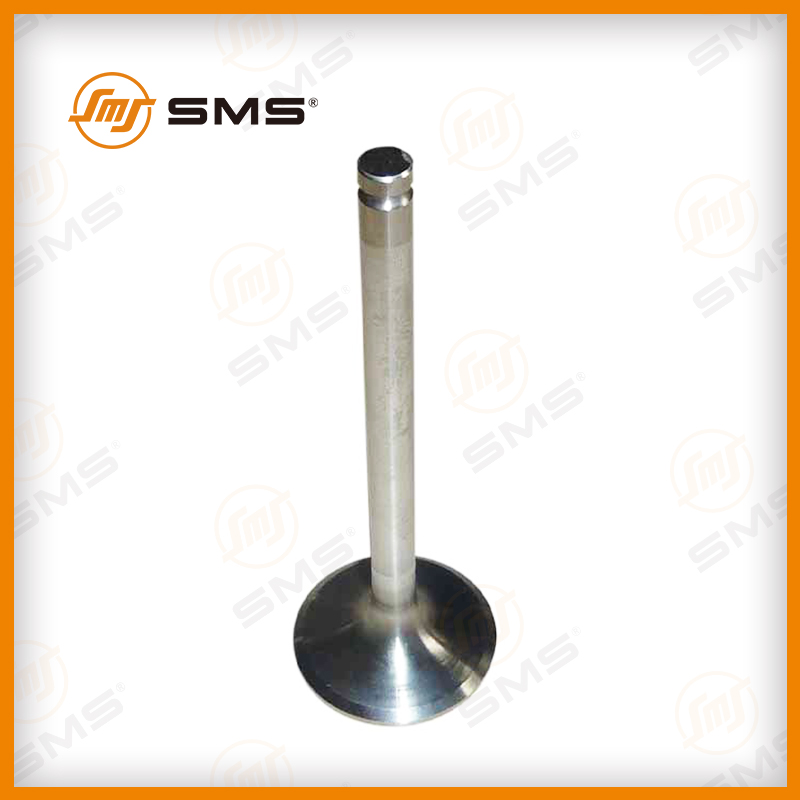 61560050041 exhaust valve WP10.jpg 61560050041 exhaust valve WP10.jpg