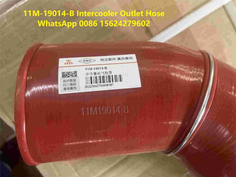 Intercooler Outlet Hose