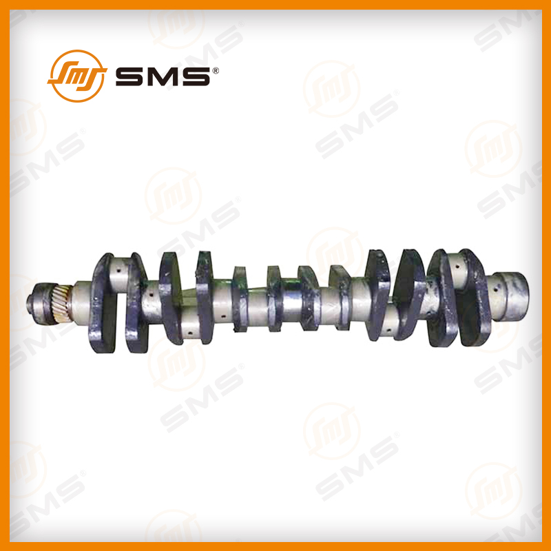 612600020373 crankshaft WP10.jpg 612600020373 crankshaft WP10.jpg