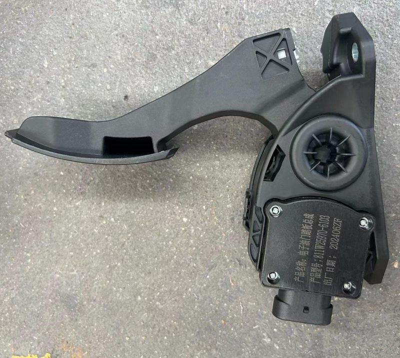 Conjunto do pedal do acelerador