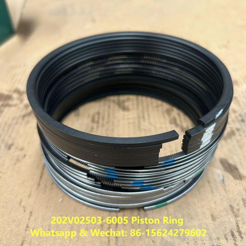 Piston Ring