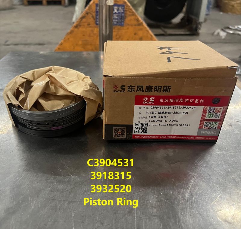 Piston Ring Kit.jpg Piston Ring Kit.jpg