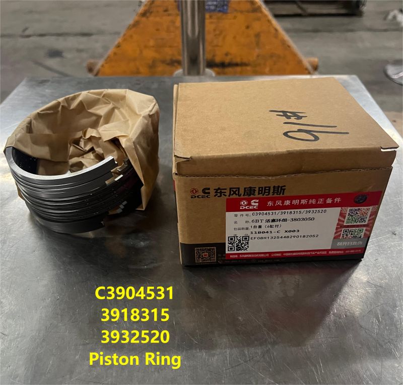 Piston Ring Kit