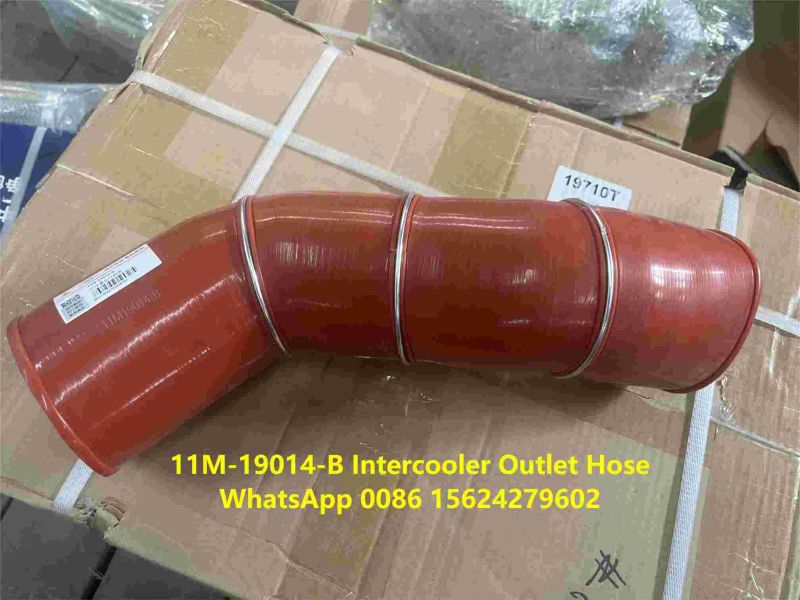 11M-19014-B.jpg 11M-19014-B.jpg