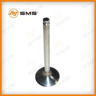 61560050041 အိပ်ဇောပိုက် WP10